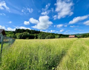 , 1300m2 dans Savadisla