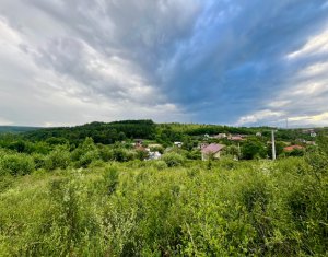 Terrain à vendre dans Feleacu