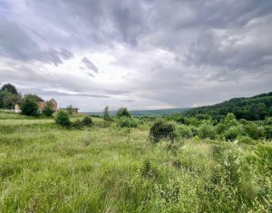 Terrain à vendre dans Feleacu