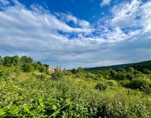 Terrain à vendre dans Feleacu