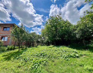 Terrain à vendre dans Luna De Sus