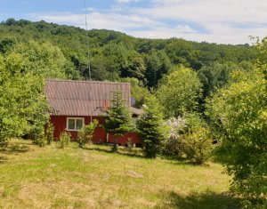 , 1434m2 dans Feleacu
