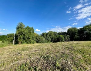 Terrain à vendre dans Aiton