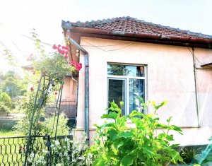 Maison 3 chambres à vendre dans Cluj-napoca, zone Dambul Rotund