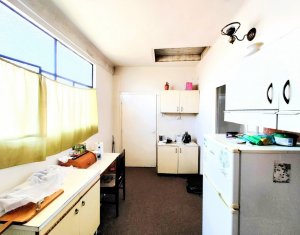Maison 4 chambres à vendre dans Cluj-napoca, zone Andrei Muresanu