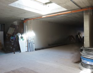 Espace Commercial à louer, 267.19m2 dans Cluj-napoca, zone Centru