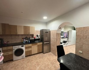 Appartement 2 chambres à louer dans Cluj-napoca, zone Andrei Muresanu
