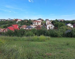 Terrain à vendre dans Dezmir