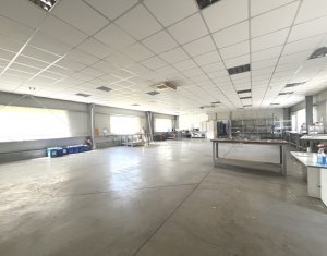 Espace Industriel à louer dans Baciu