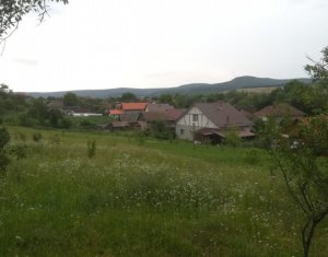 , 3000m2 dans Panticeu, zone Centru