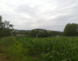 Terrain à vendre dans Panticeu, zone Centru