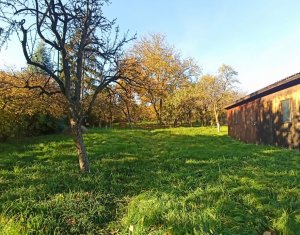 Maison 4 chambres à vendre dans Cluj-napoca, zone Dambul Rotund
