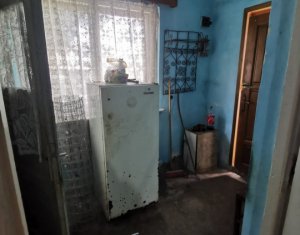 Maison 2 chambres à vendre dans Cluj-napoca, zone Someseni
