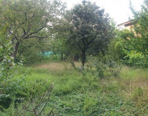 , 810m2 dans Cluj-napoca, zone Zorilor