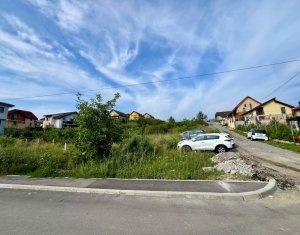 , 4300m2 dans Dezmir