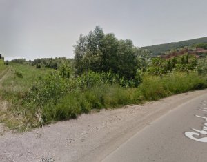, 5300m2 dans Chinteni