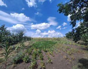 , 120m2 dans Pata