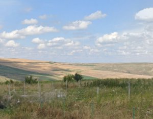 , 81664m2 dans Cluj-napoca, zone Iris