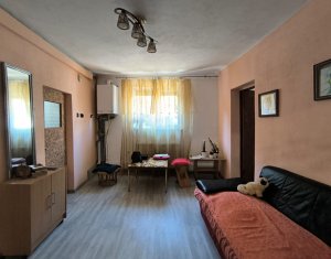 Maison 3 chambres à vendre dans Cluj-napoca, zone Centru