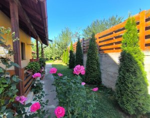 Maison 5 chambres à vendre dans Chinteni