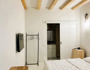 Maison 8 chambres à vendre dans Cluj-napoca, zone Centru