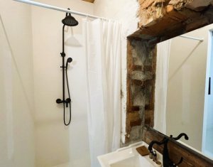 Maison 8 chambres à vendre dans Cluj-napoca, zone Centru