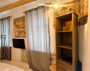 Maison 8 chambres à vendre dans Cluj-napoca, zone Centru