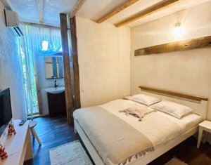 Maison 8 chambres à vendre dans Cluj-napoca, zone Centru
