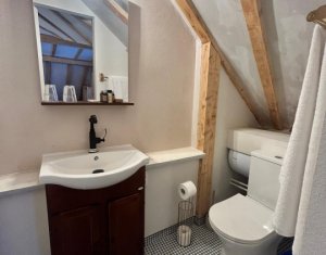 Maison 8 chambres à vendre dans Cluj-napoca, zone Centru