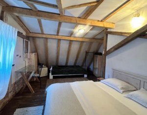 Maison 8 chambres à vendre dans Cluj-napoca, zone Centru