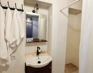 Maison 8 chambres à vendre dans Cluj-napoca, zone Centru
