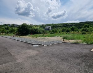 Terrain à vendre dans Cluj-napoca, zone Becas