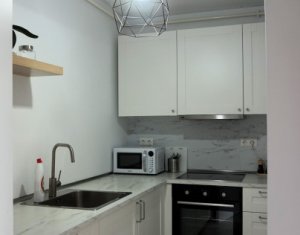 Appartement 1 chambres à louer dans Cluj-napoca, zone Centru