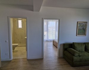 Appartement 2 chambres à louer dans Floresti