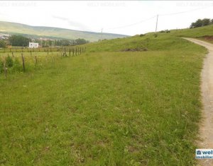 Terrain à vendre dans Floresti