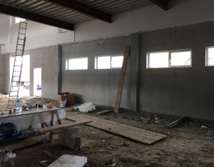 Ipari helyiség kiadó on Floresti