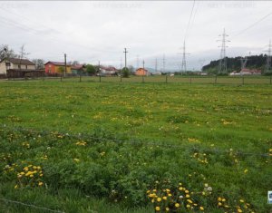 Telek eladó on Cluj-napoca