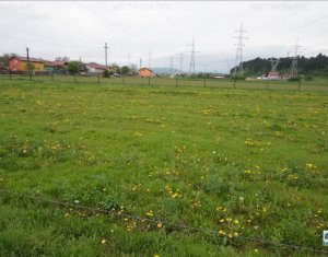 Telek eladó on Cluj-napoca