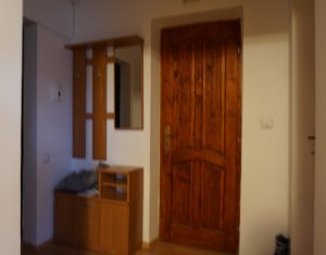 Appartement 1 chambres à louer dans Cluj-napoca