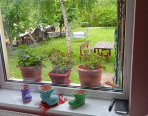 Maison 4 chambres à vendre dans Capusu Mic