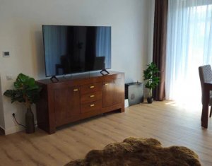 Appartement 2 chambres à louer dans Cluj-napoca, zone Buna Ziua