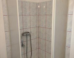 Appartement 1 chambres à louer dans Cluj-napoca
