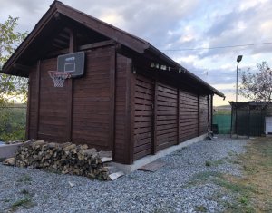 Maison 4 chambres à vendre dans Chinteni