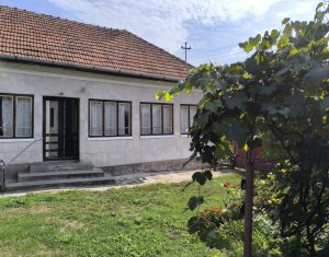 , 100m2 dans Tauti
