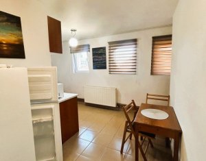 Appartement 1 chambres à vendre dans Cluj-napoca, zone Centru