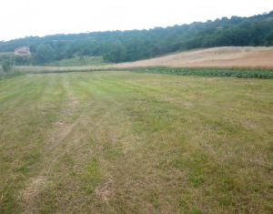 Terrain à vendre dans Corpadea