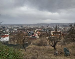 Teren de vanzare, 976 mp, Dambul Rotund