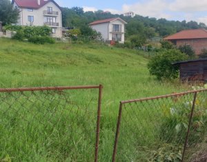 Teren de vanzare, 976 mp, Dambul Rotund