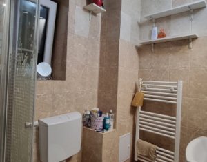 Maison 2 chambres à louer dans Apahida