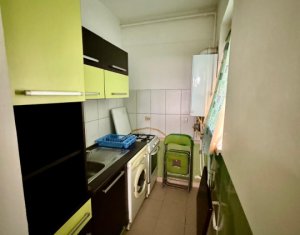 Appartement 1 chambres à louer dans Cluj-napoca, zone Buna Ziua